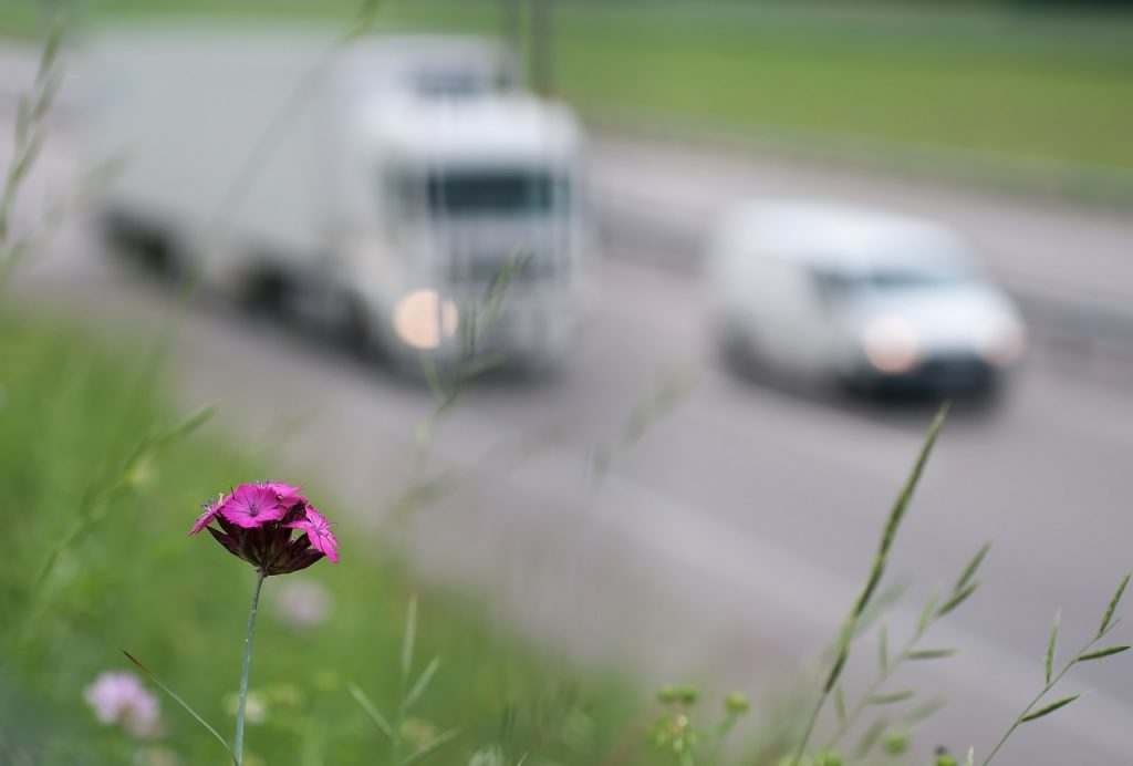 roadwise, miljö, förarbeteende, sparsam körning, eco-driving
